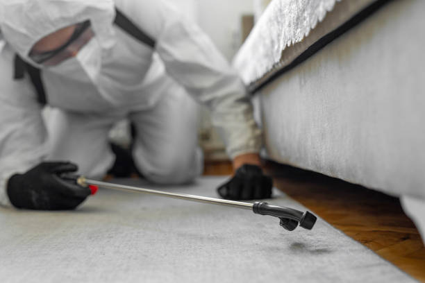 Professional Termite Control technician working in Clever, MO