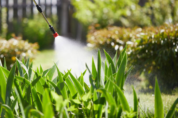24/7 Emergency Termite Control experts in Clever, MO