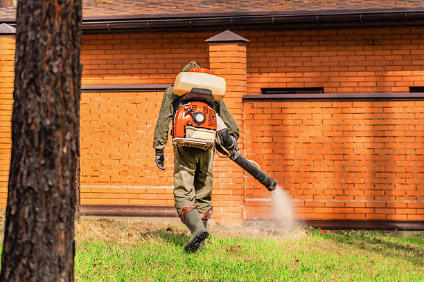 Top rated local Termite Control specialists in Clever, MO